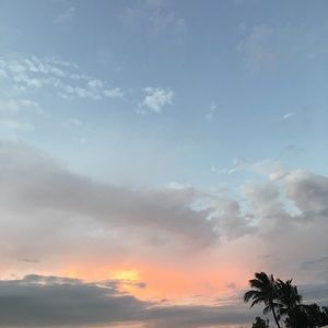 Meet your Posher, Judi